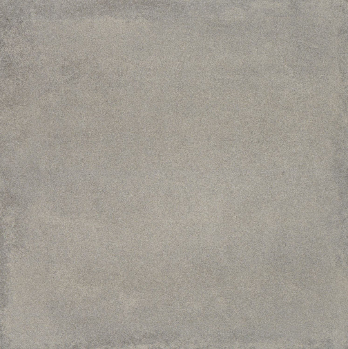 Carnaby Grey