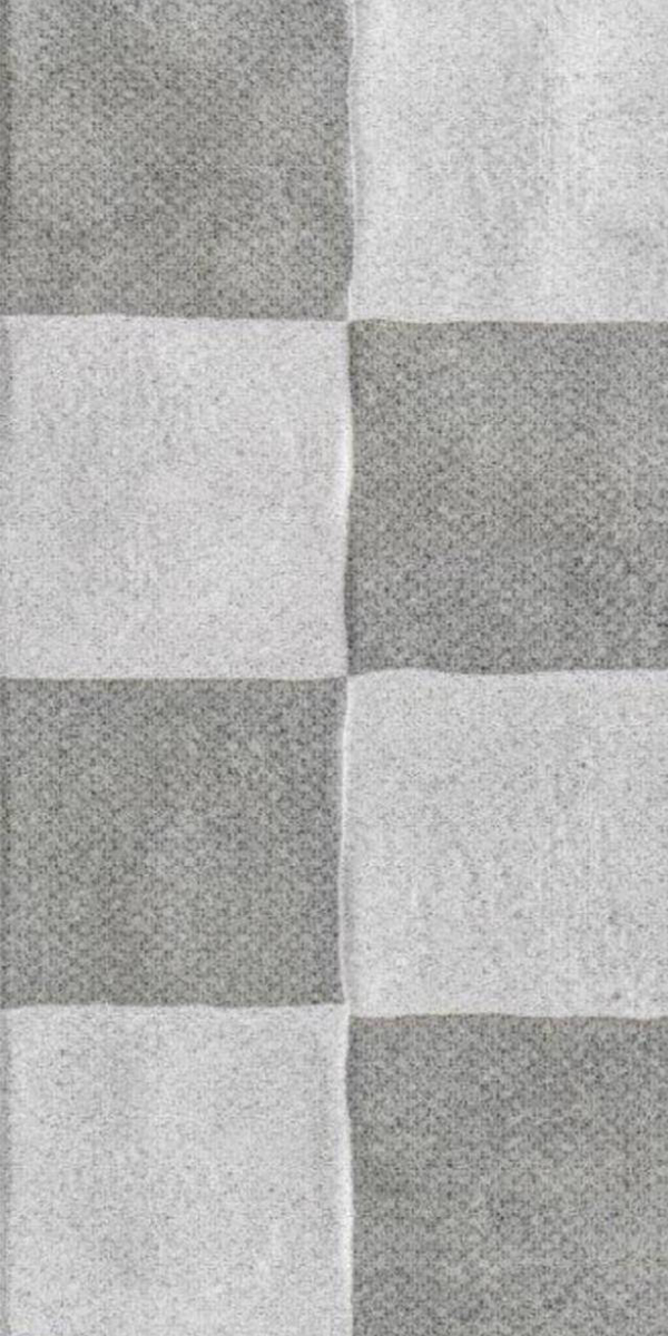 Venizila Grey