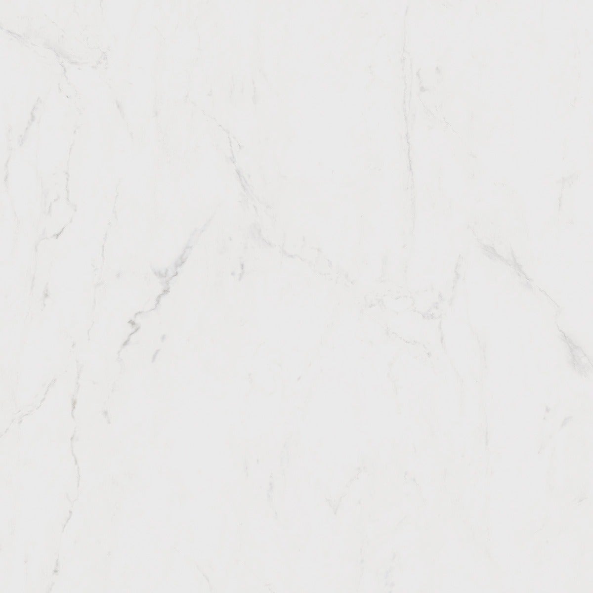 Maximus Altissimo Marble