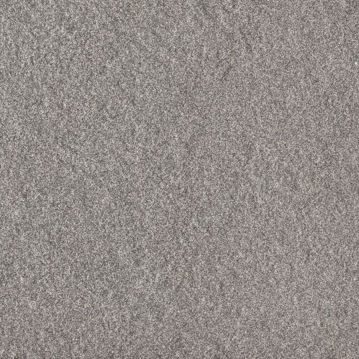 Paris Grey