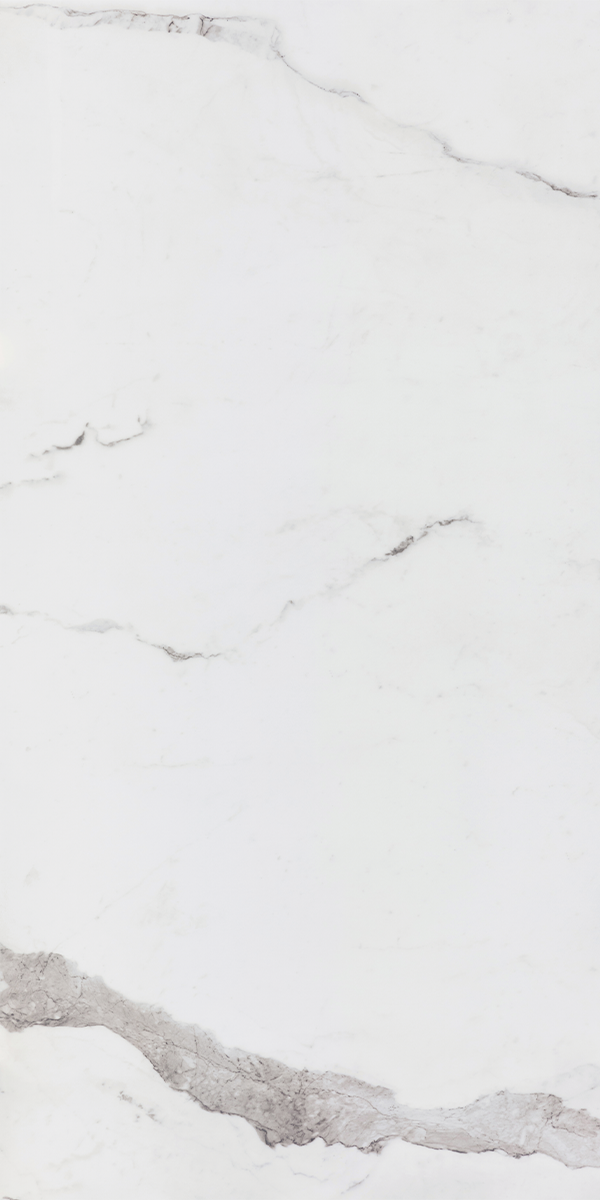 Statuario Continuo White