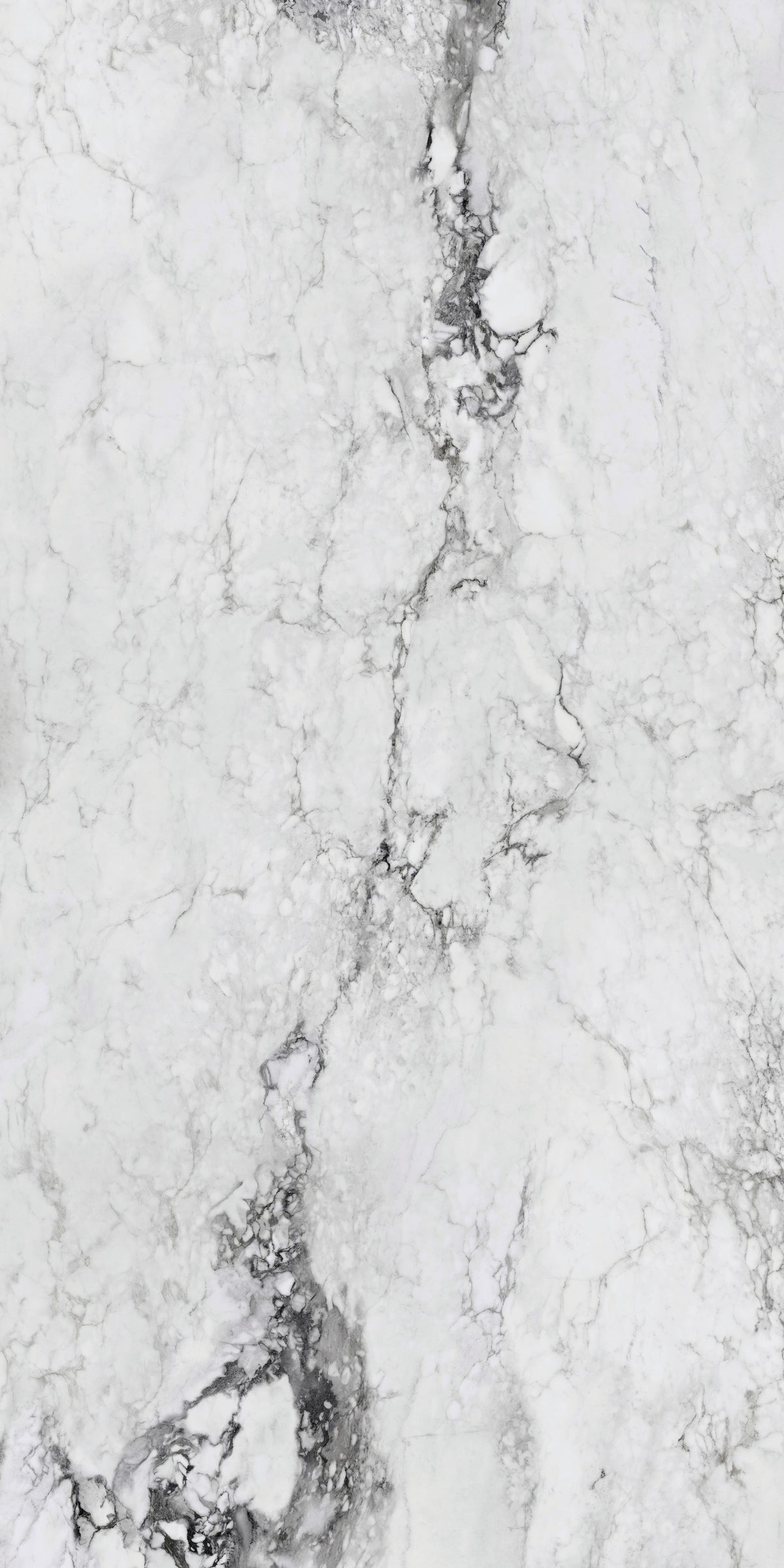 Medicea Marble White