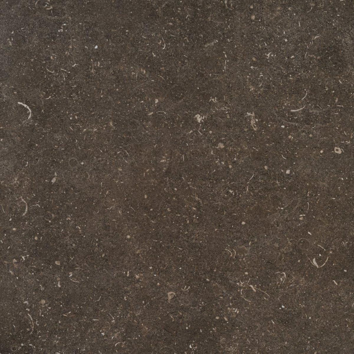 K2 Stone Brown
