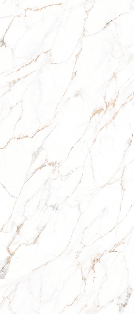 Maximus Calacata Gold Lux