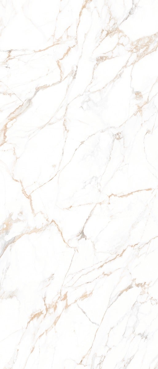Maximus Calacata Gold Lux