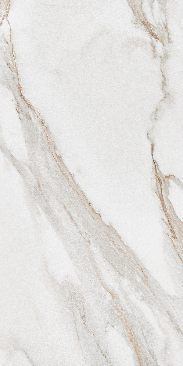 Calacatta Gold White