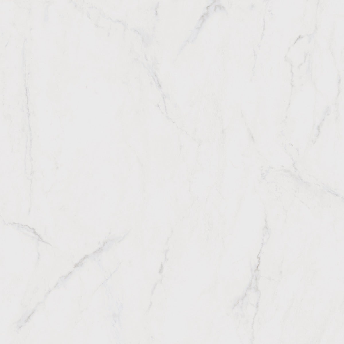 Maximus Altissimo Marble