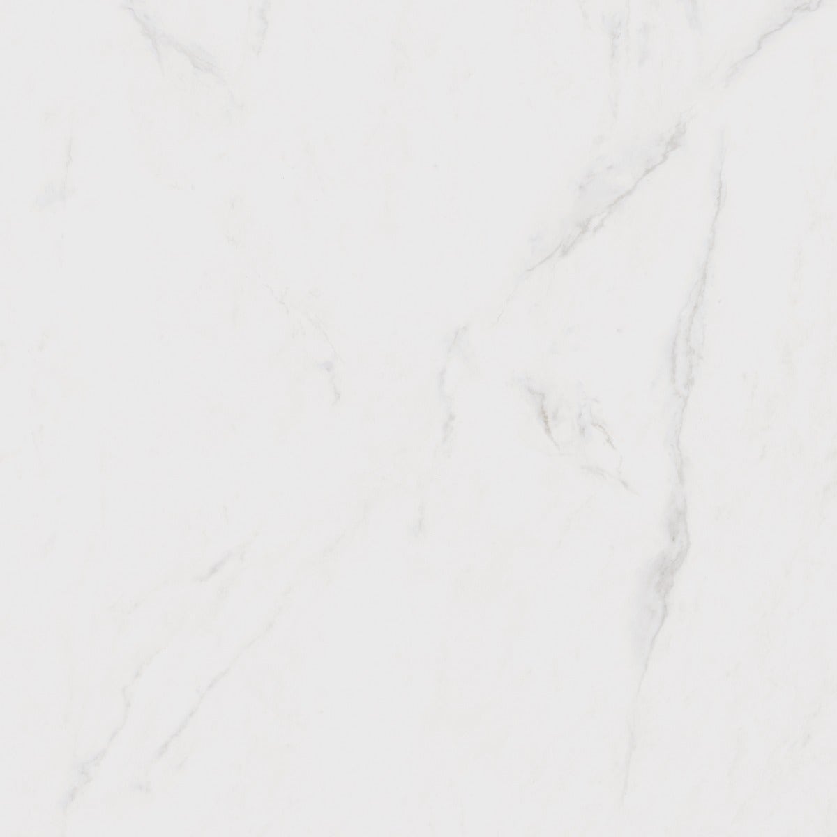 Maximus Altissimo Marble