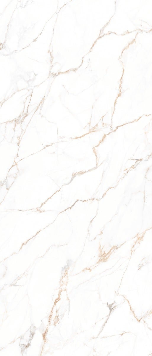 Maximus Calacata Gold Lux