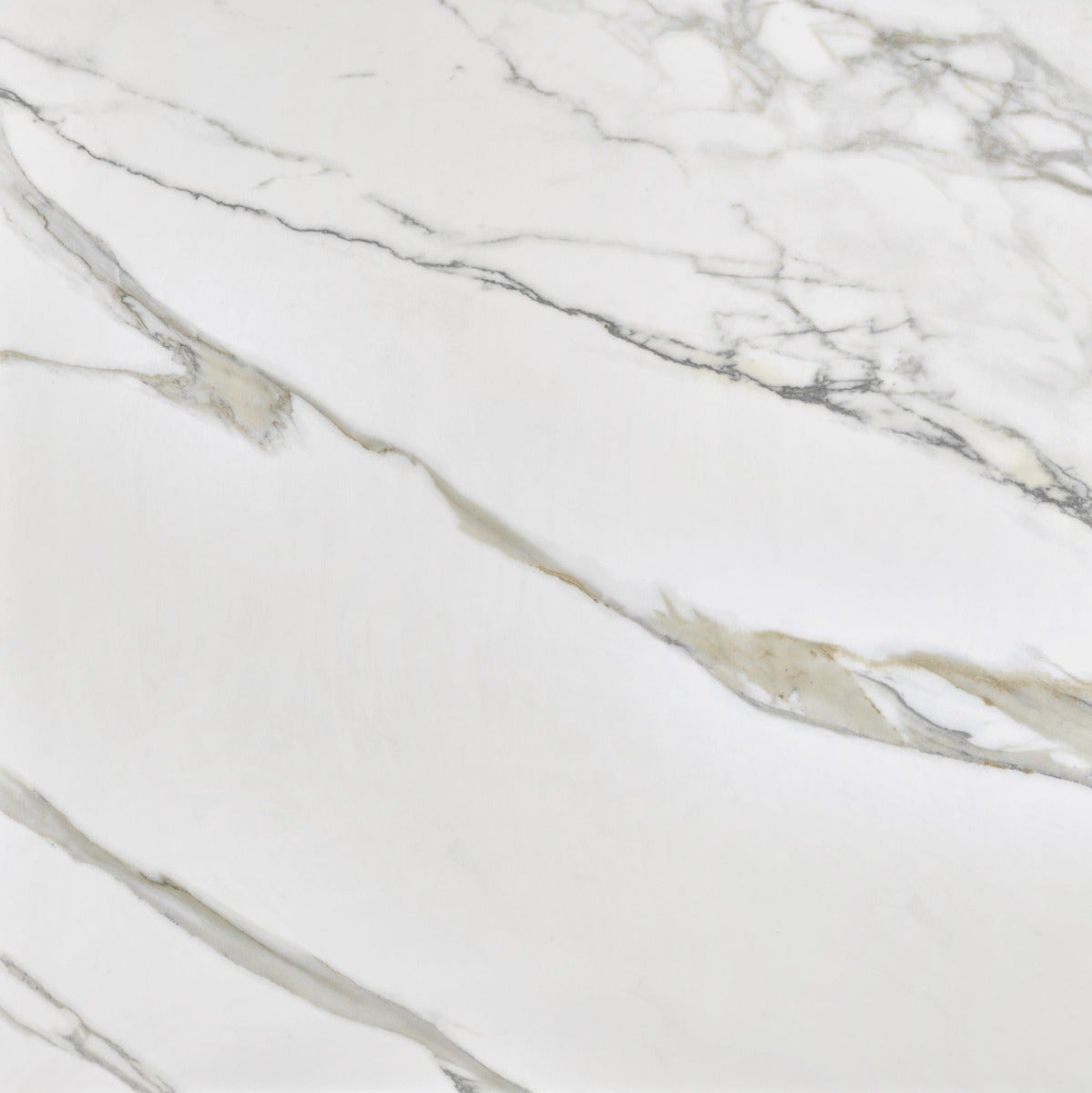 Marble Treviso
