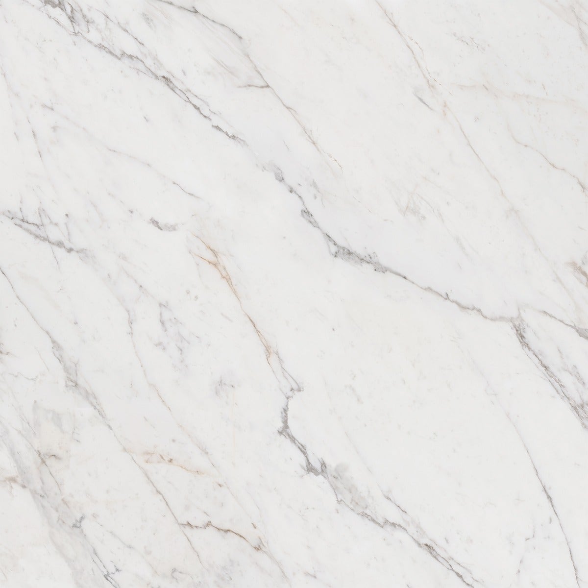 Maximus White Golden Marble