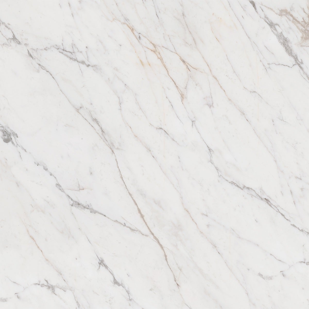 Maximus White Golden Marble