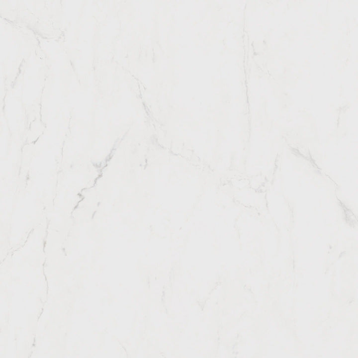 Maximus Altissimo Marble