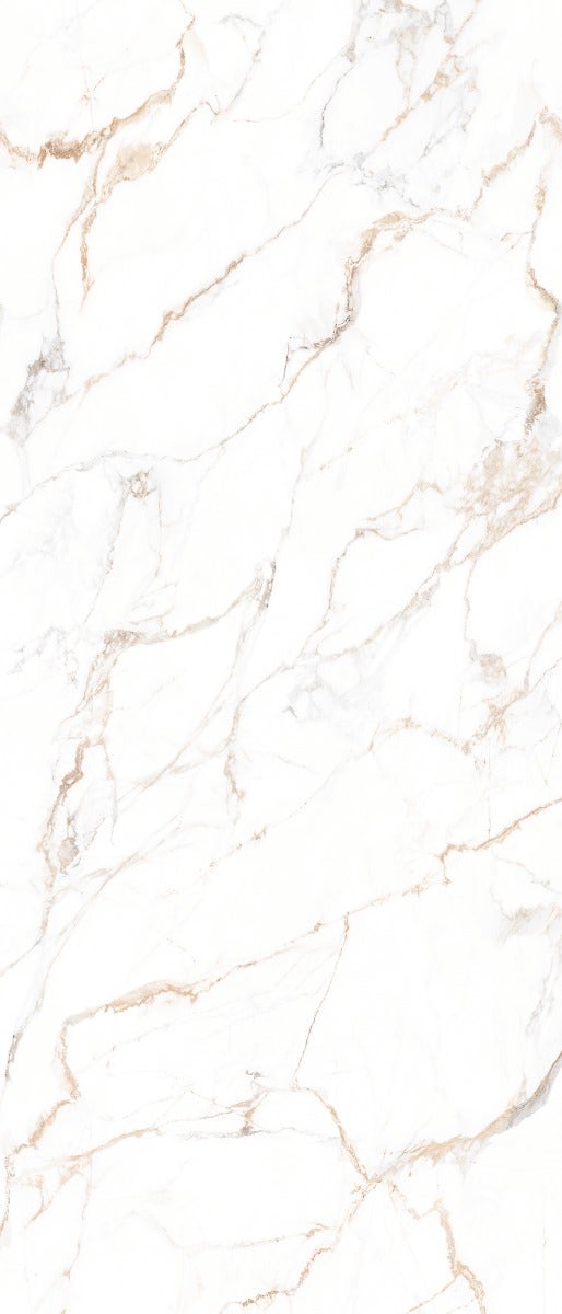 Maximus Calacata Gold Lux