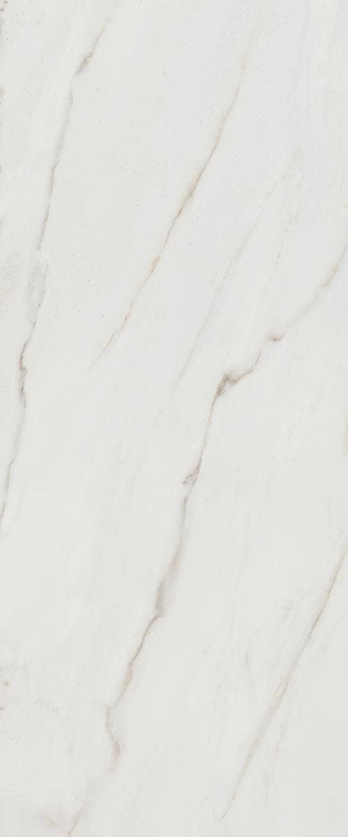 Maximus Calacatta Africa White
