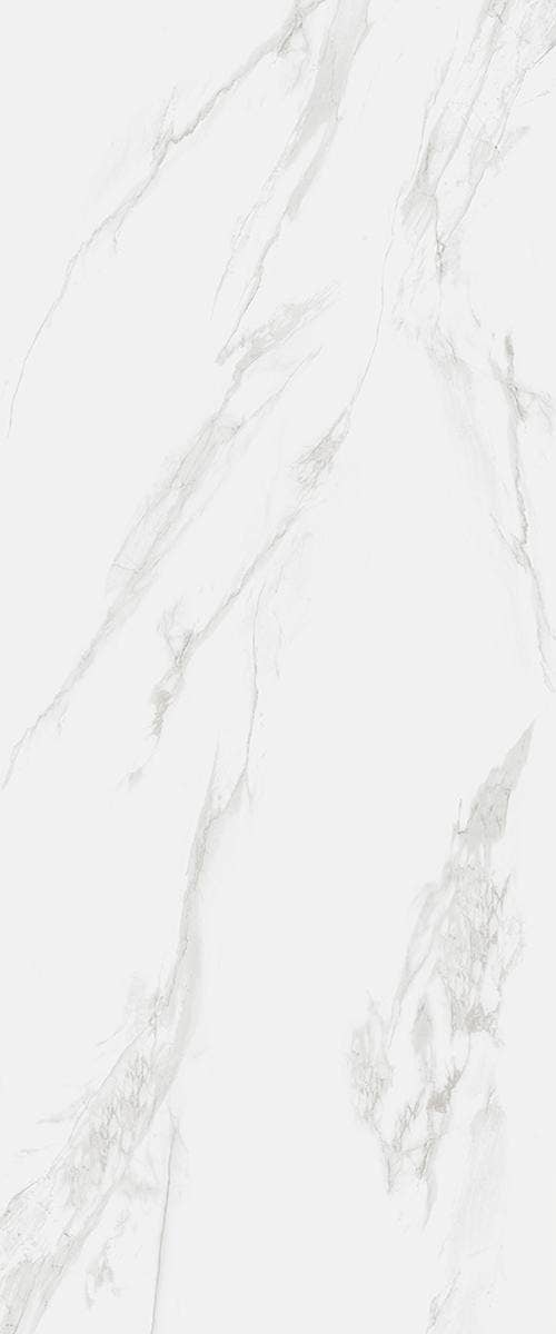 Maximus Classic White