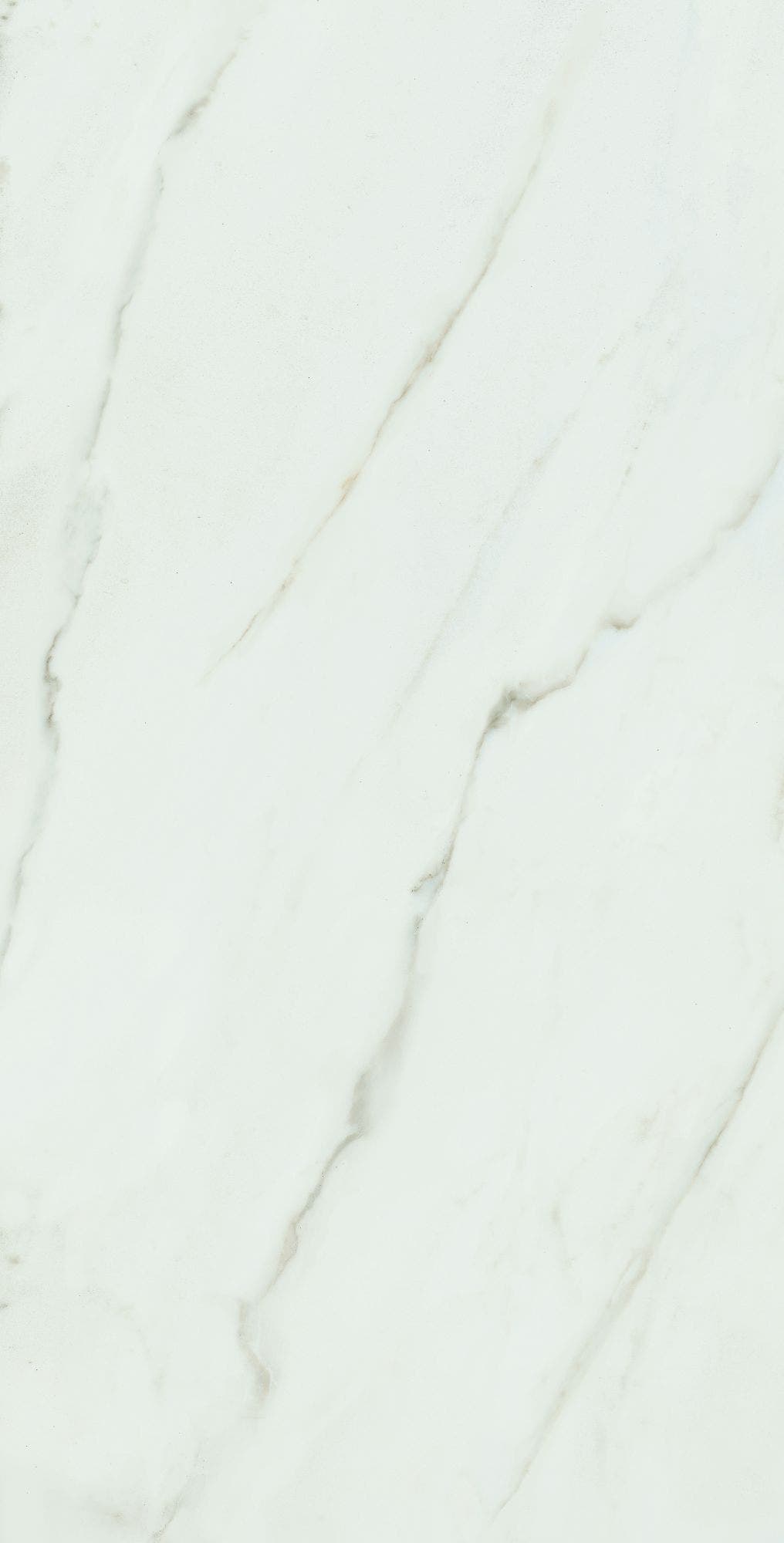 Calacatta Africa White