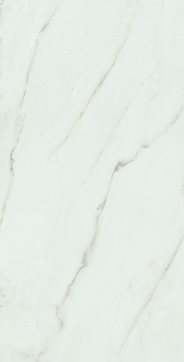 Calacatta Africa White