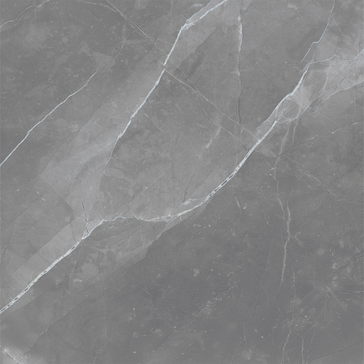 Maximus Classic Grey