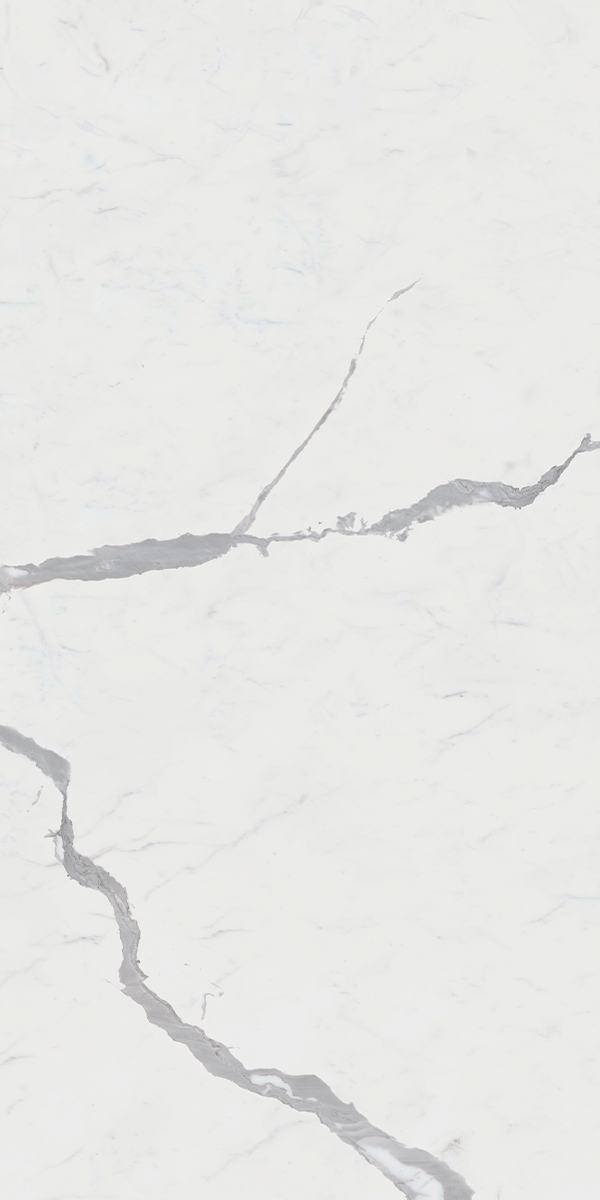 Calacatta Continuo White