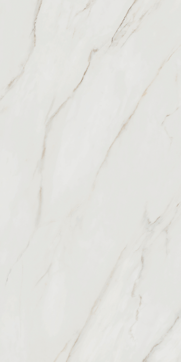 Calacatta Africa White