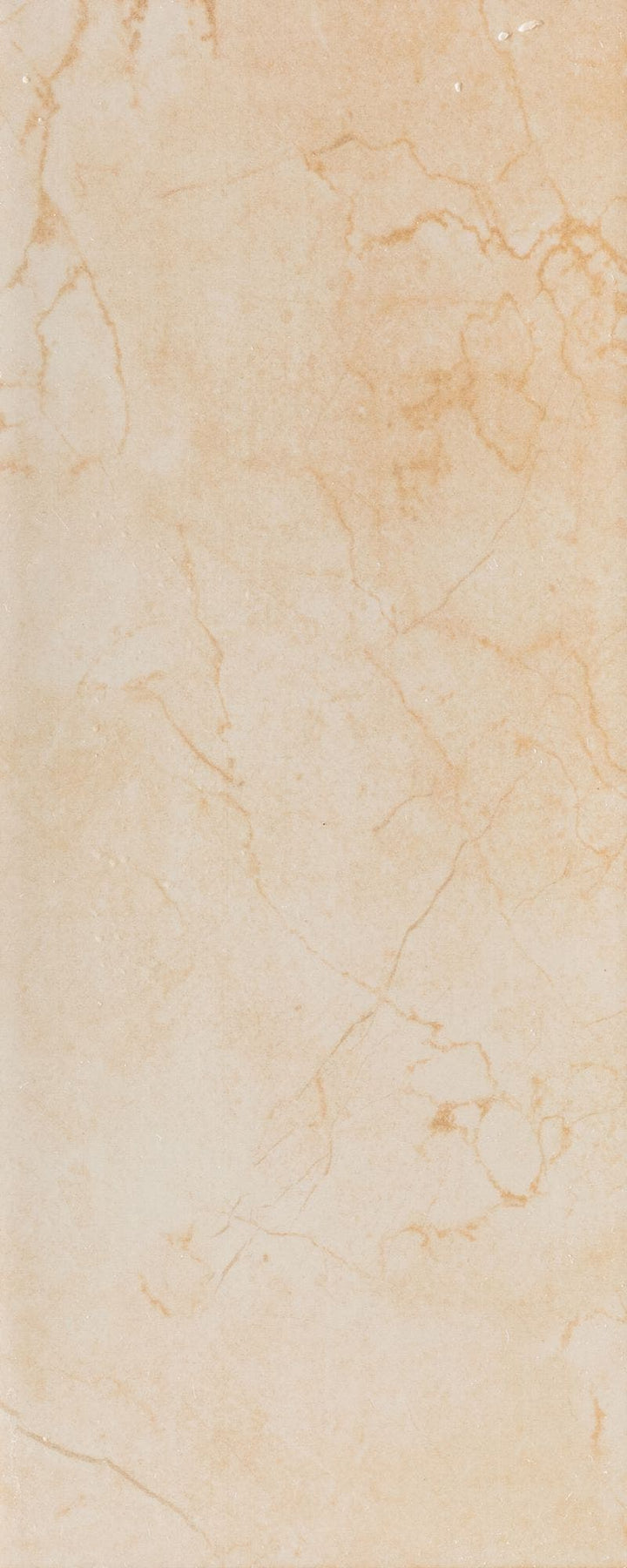 Netrolla Ivory